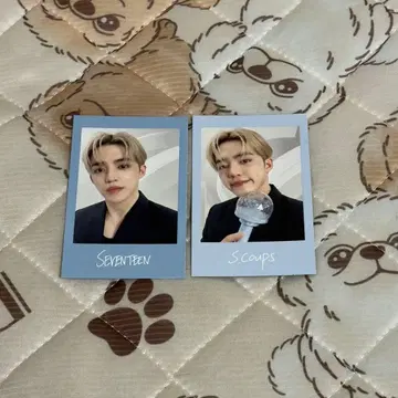 seventeen NEW 인스턴트 사진 에스쿱스