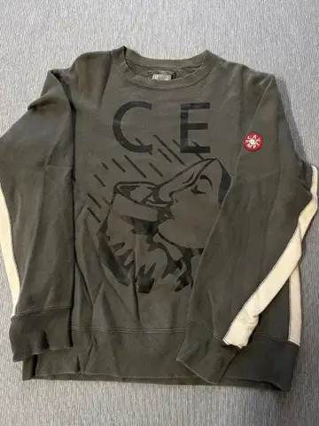 CE 그래픽 프린트 트레이닝복