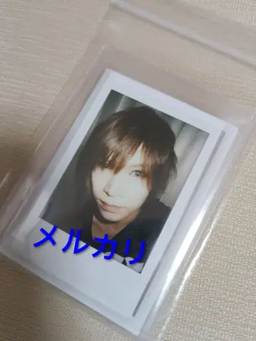 골든 폭격기 금폭 귀류인 쇼 폴라로이드 사진 새상품급