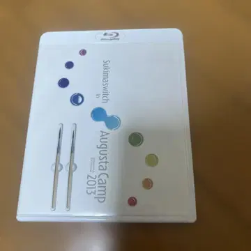 Sukimaswitch in Augusta Camp 2013