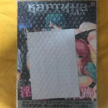 카가미 비주얼 웍스 최초 한정판