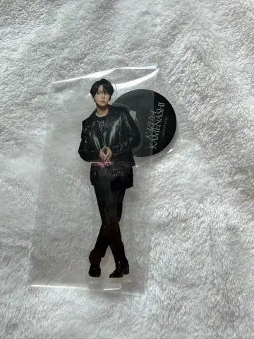 카메나시 카즈야 아크릴 스탠드 아크스타 Break the KAT-TUN