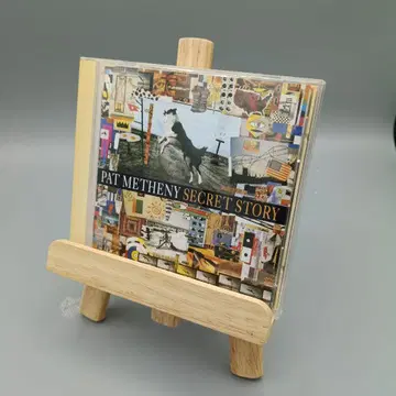 PAT METHENY SECRET STORY