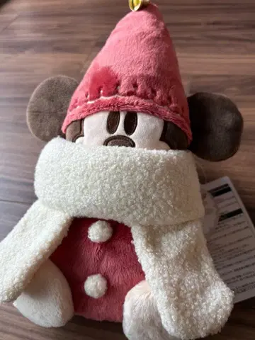 릴린린 숄더백 미니백 디즈니 2025