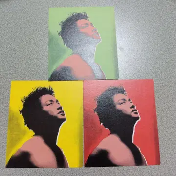 레슬리 장 대열 카드 3장