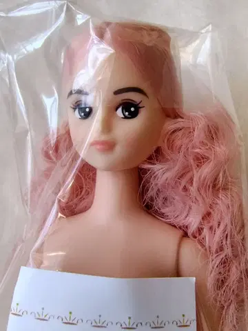 리카짱 캐슬 즐거운 인형 키사라