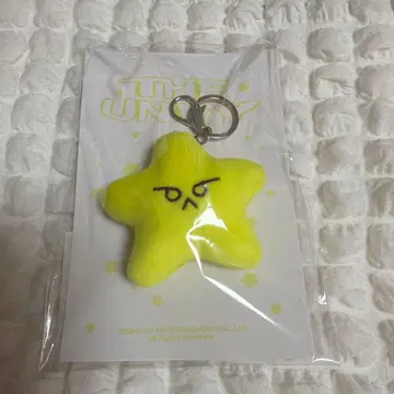 공식 nct127 도영 불가사리 키링