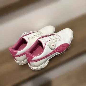 Puma 골프화 화이트/핑크