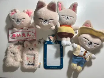 아이엔 폭시니 굿즈 묶음 판매