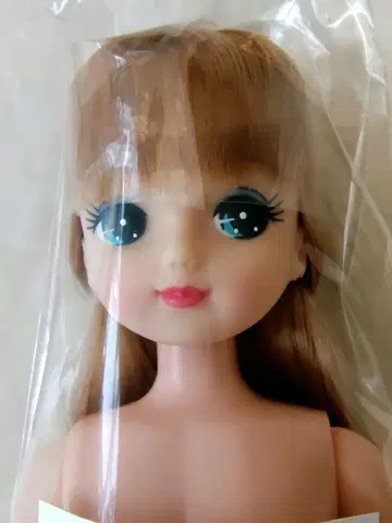 리카짱 캐슬 오타노시미 인형 키라짱