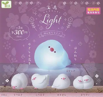 문조 혼와리 라이트