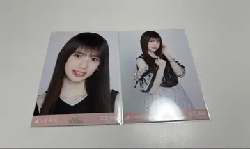 노기자카46 브로마이드 Same numbers 야타 모에카 요리 츄