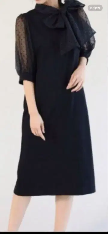 야마다야 FENNEL 도트 튤 블랙 원피스