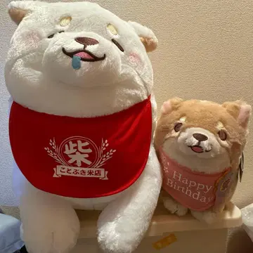 시바견 봉제 인형