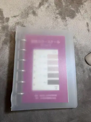 스킨 컬러 스케일