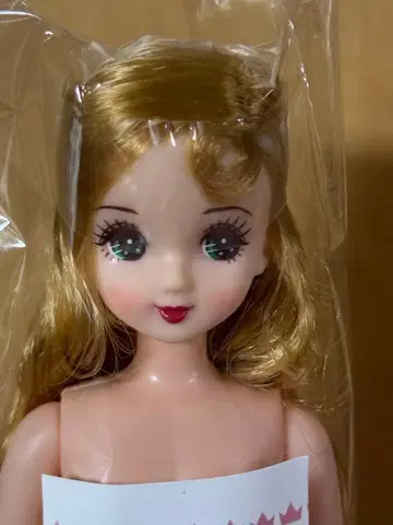 리카짱 캐슬 즐거운 인형 리틀 팩토리 히나짱