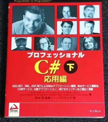 프로페셔널 C# 아래 응용편 인프레스