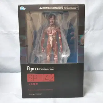 figma 인체 모형