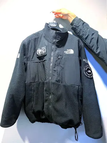 THE NORTH FACE 7 summit 데날리 자켓