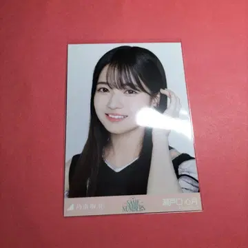 노기자카46 세토구치 신게츠 [ samenumbers ]