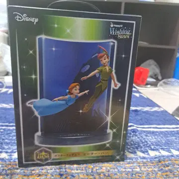 Disney Wishing Stars 피터팬 피규어