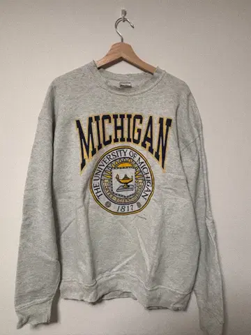 90s fruit of the room Michigan 맨투맨 XL