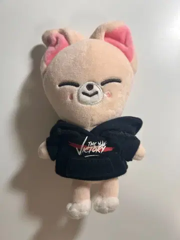 straykids skzoo 폭시니 아이엔 미니Ver.