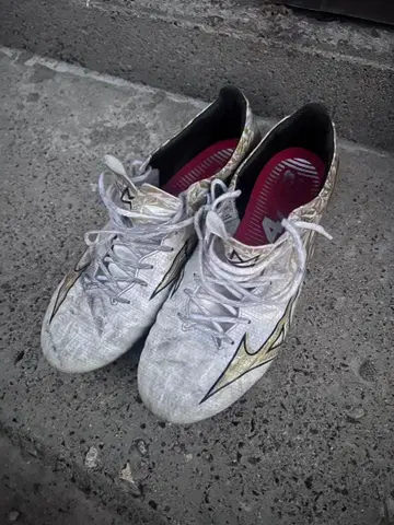 미즈노 알파 프로