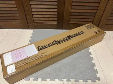 CSM 파이즈 엣지