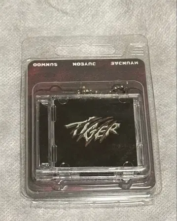 THEBOYZ 도보이즈 a;effect Tiger 타이거 사전 녹화