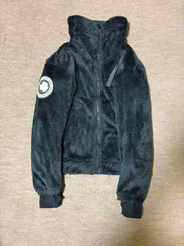 NORTH FACE 보아 자켓