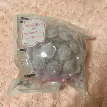 SnowMan 응원봉 SnowWorld