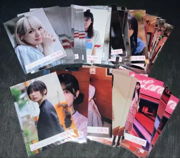 사쿠라자카46 드론 선회 중 브로마이드 묶음 판매