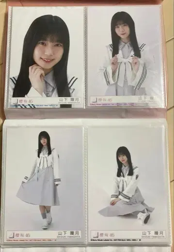 야마시타 시즈키 봉입