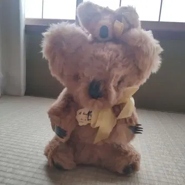 호주 코알라 봉제 인형