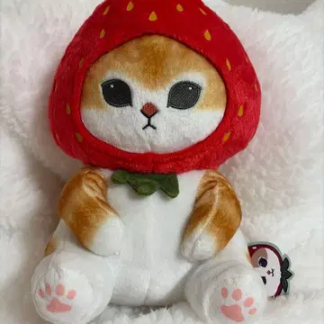 모프 샌드 후르츠냥 BIG 봉제 인형 약 30cm