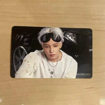 seventeen face the san 원우