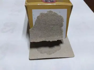 철도 컬렉션 E61 시크릿