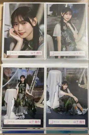 야마시타 시즈키 마모리비토