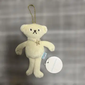 다이칸야마 Curly Collection(컬리 컬렉션) 참