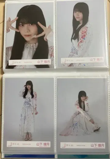 야마시타 시즈키 자업자득