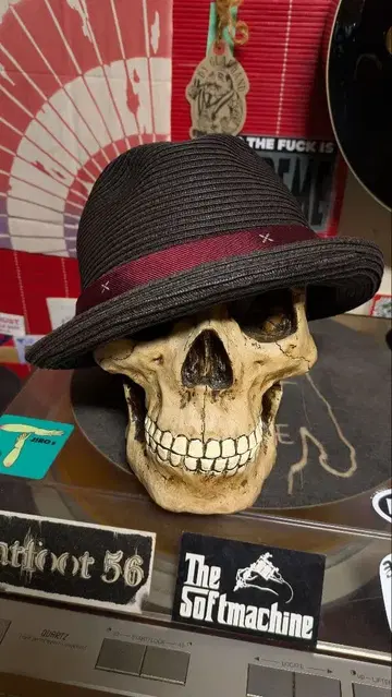 RADIALL 라디얼 파나마 햇