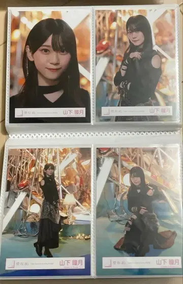 야마시타 시즈키 IWTC