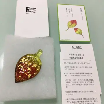 FUSION FACTORY 마그넷 브로치