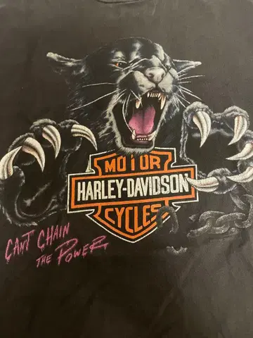 [ 구하기 어려움 ] 90s 할리데이비슨 빈티지 T셔츠 팬서