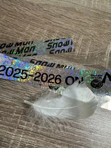 Snow Man Dome Tour 2025-2026 ON 은색 테이프 풀
