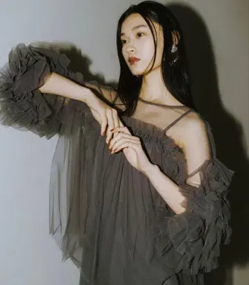 ANDRESD 데코라티브 튤 상의 차콜 그레이