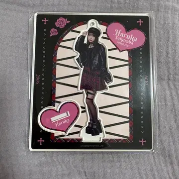 사쿠라바 하루카 아크릴 스탠드 생일 축하 2025