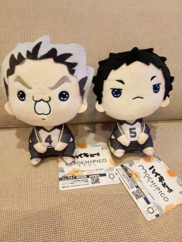 하이큐 모찌피코 봉제 인형 보쿠토 코타로 아카아시 케이지