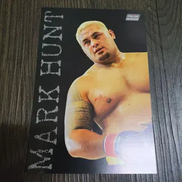 PRIDE 남자 축제 2004 엽서 마크 헌트